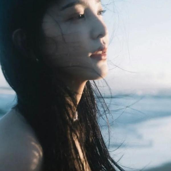 虎啸苍穹